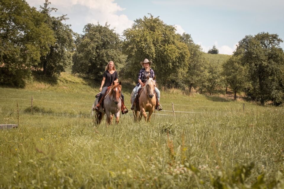 Upper Austria: Landscape, Forests, Meadows - Tour Details