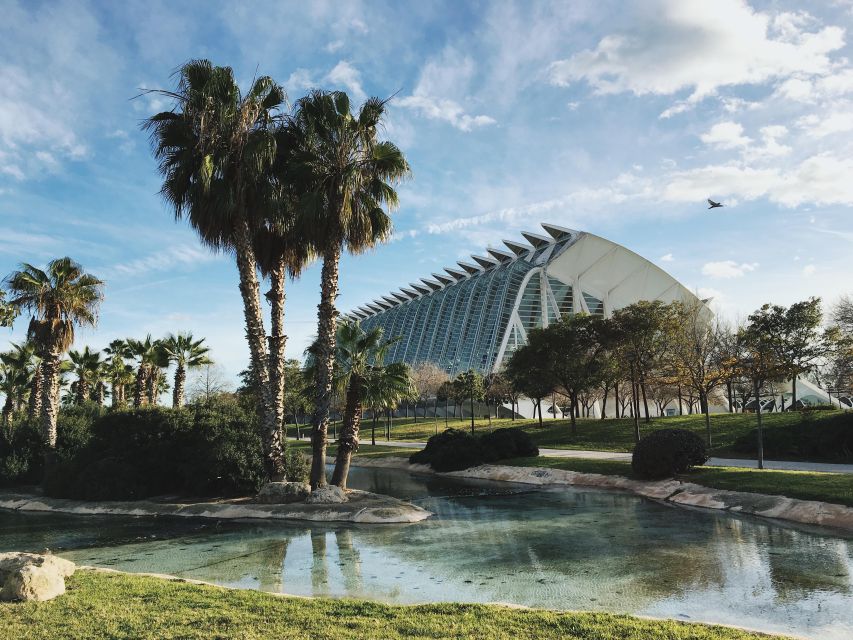 Valencia: Capture the Most Photogenic Spots With a Local - Overview of the Tour