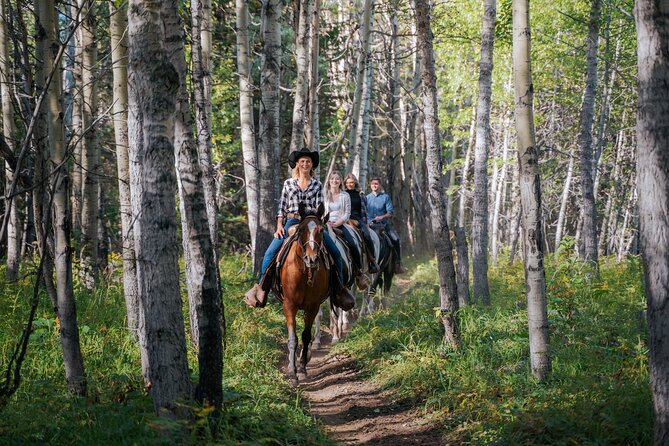 Valley Vista 1.5 Hour Horseback Trail Ride In Kananaskis Overview Of The Trail Ride