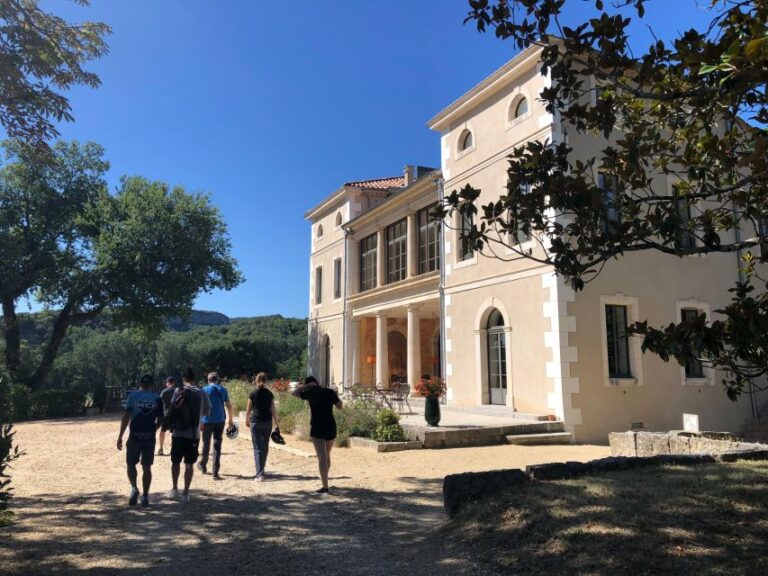 Vallon Pont D'arc: Electric Bike Wine Tour & Tasting Activity Details