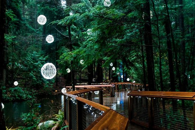 Vancouver Capilano Canyon Light And Peak Of Christmas In Grouse Mountain Itinerary Details