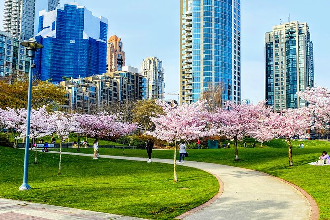 Vancouver City Tour With Cherry Blossom Festival Private Discovering Nitobe Memorial Garden