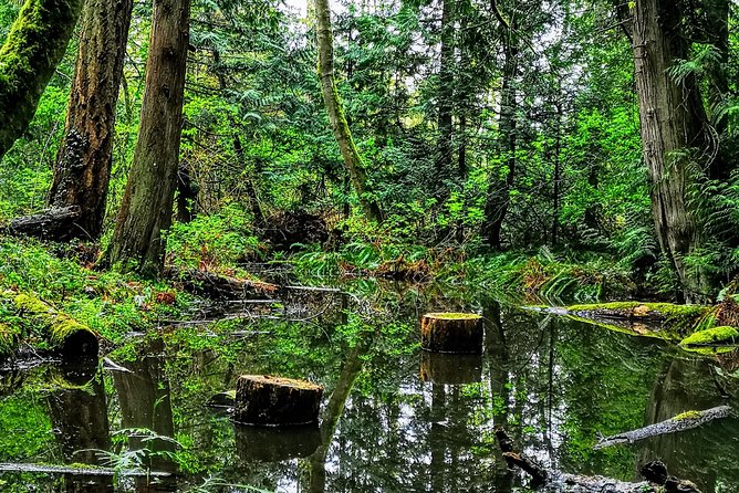 Vancouver Island Rainforest Guided Hike With Private Guide - Tour Details