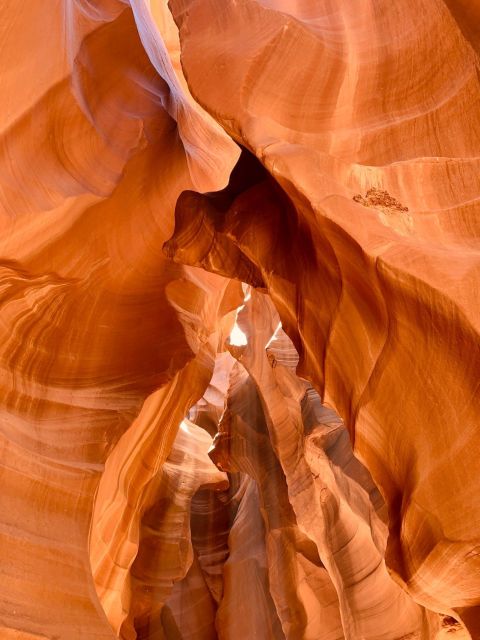 Vegas: Upper Antelope Canyon, Horseshoe Bend, Lake Powell Explore Upper Antelope Canyon