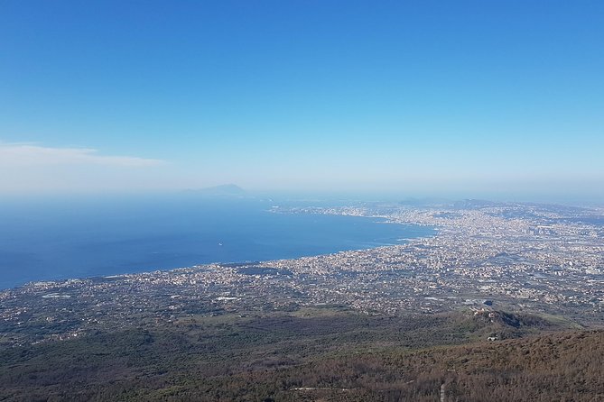 Vesuvius: Half Day Trip From Naples Experience Overview