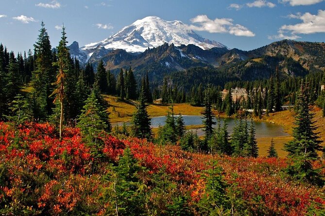 Viator Exclusive Day-Tour From Seattle to Mt. Rainier - Itinerary Highlights