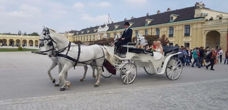 Vienna: Carriage Ride Through Schönbrunn Palace Gardens Overview Of Carriage Ride