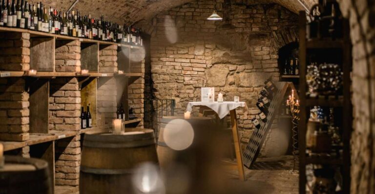 Vienna: Hidden Wine Cellars Tasting Experience Explore Hidden Wine Cellars