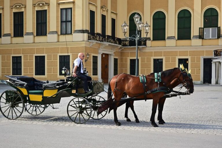 Vienna: Self Guided Puzzle & Riddle Tour In The City Center Adventure Awaits In Viennas Center