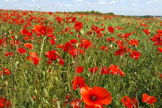 Vimy And Flanders Fields Canadian Battlefield Tour From Lille Tour Overview