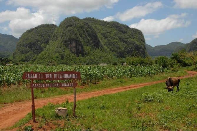 Viñales Horse Tour Tour Overview