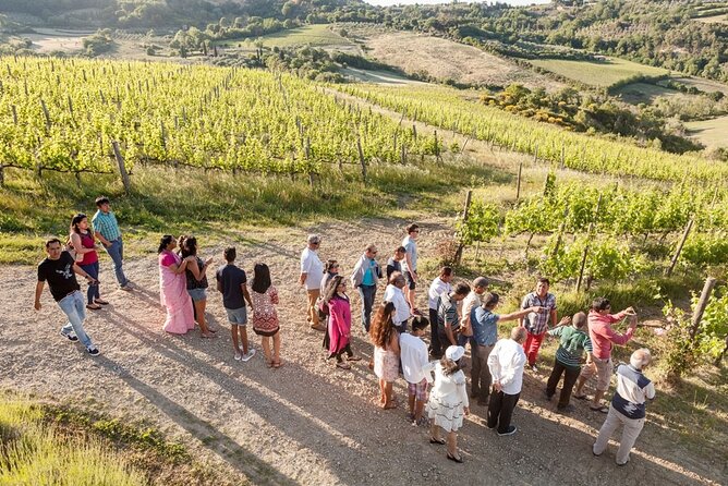 Vino Nobile Di Montepulciano Wine Tour - Meet the Producers - Visiting Top Cellars and Vintners