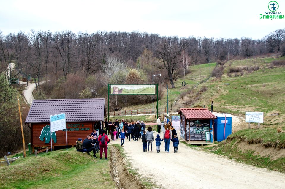 Visit Bear Sanctuary and Bran Castle From Brasov - Tour Overview