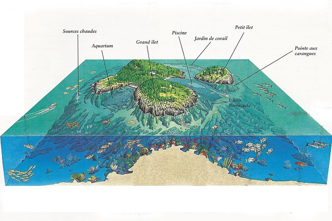 Visit The Cousteau Reserve By Boat Without A License Overview And Details