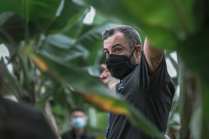 Visit to the Banana Growing Farm in Santa Cruz De Tenerife - Overview of the Tour