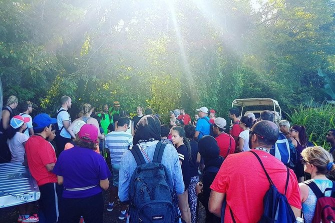 Volcano Caldera (Mt. Liamuiga) Trek - Inclusions and Provisions