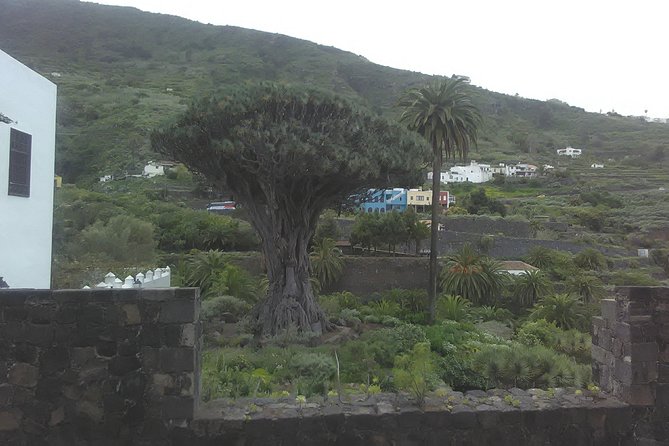 Volcano Teide National Park And North Of The Island Vip Tour Tour Overview