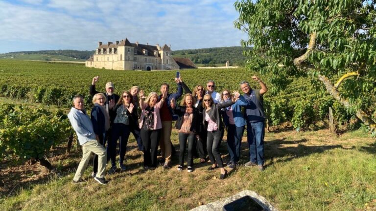 Vosne Romanée: Private Vineyards Walking Tour With Tasting Tour Overview