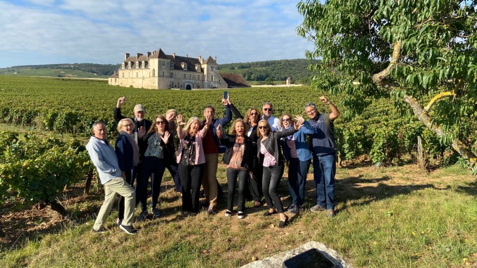 Vosne-Romanée: Private Vineyards Walking Tour With Tasting - Tour Overview