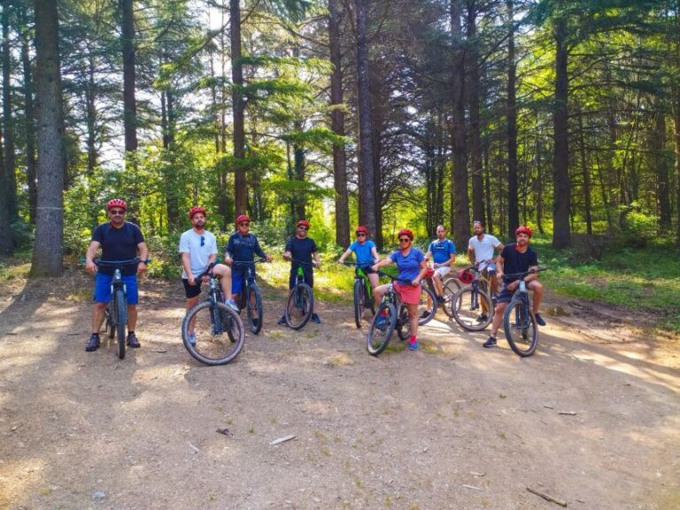 Vtt Electrique Journée: Nature Hike For All Levels Activity Overview