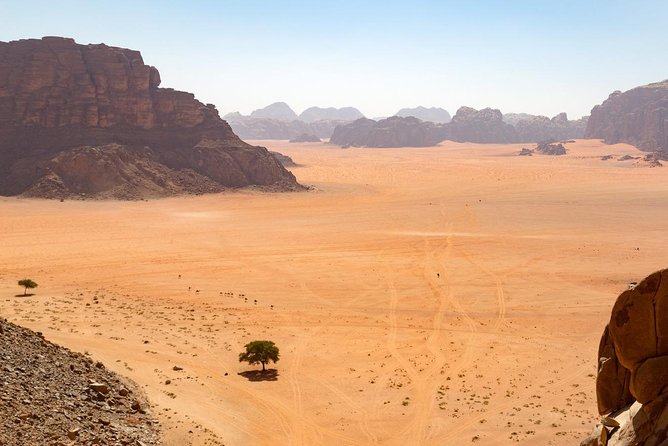 Wadi Rum: Full Day Valley Tour With Lunch Natural Wonders