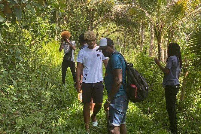 Wah Gwaann Atv Jungle Safari Tour In Montego Bay Pickup And Transportation