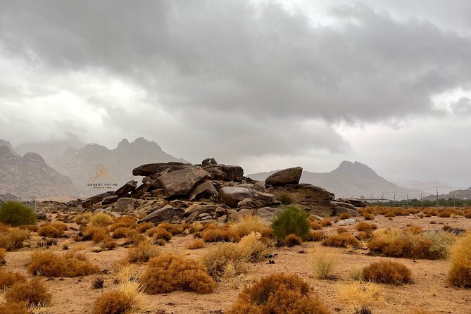 Walk In Moses Footsteps Tour Between Tabuk And The Red Sea Tour Overview