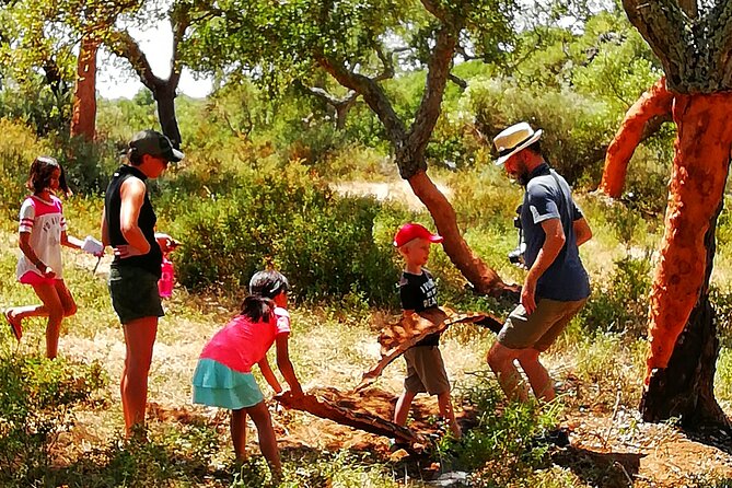 Walk on the Alentejo Cork Forest With Optional Lunch - Tour Overview