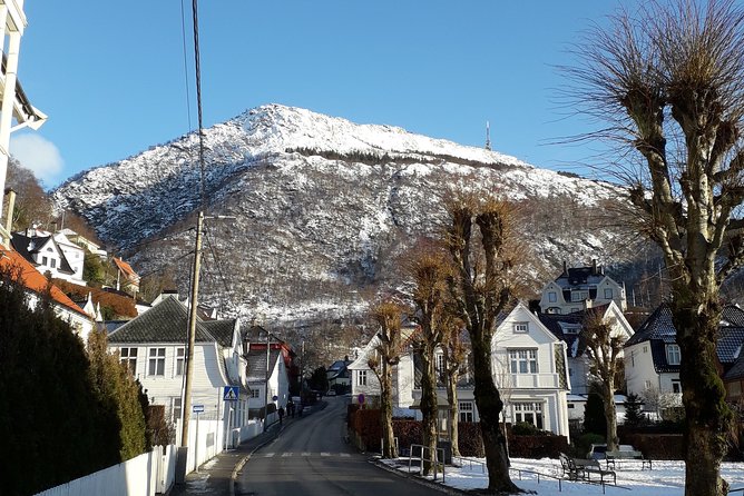 Walking Tour: Medieval Spirit of Bergen - Exploring the Historic Fish Market