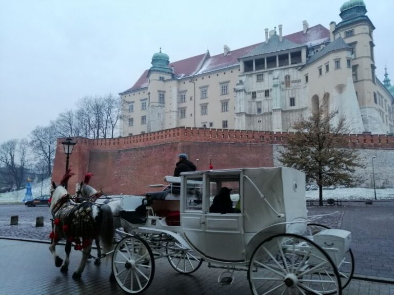 Warsaw: Auschwitz Birkenau And Krakow Tour By Car Tour Overview