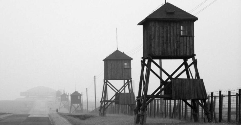 Warsaw: Majdanek Concentration Camp, Lublin Day Trip By Car Tour Overview And Pricing