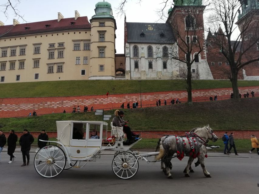 Warsaw: Tour to Krakow and Auschwitz by Train With Pickup - Tour Overview