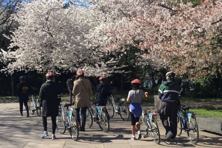 Washington Dc: Cherry Blossom Festival Tour By Bike Tour Overview