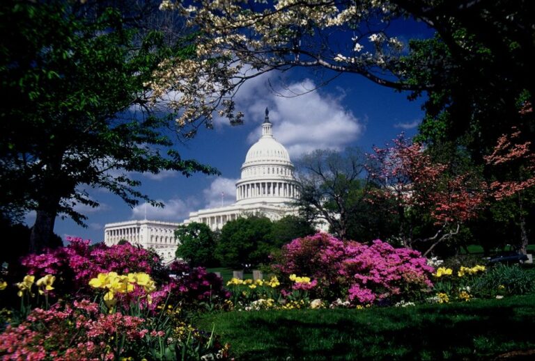 Washington, Dc: Monuments And Memorials Photography Lesson Overview Of The Photography Lesson