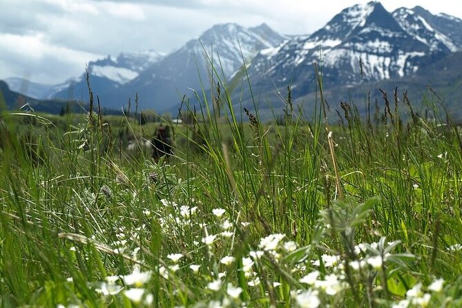 Waterton Lakes National Park | Private Exclusive Tour Park Overview