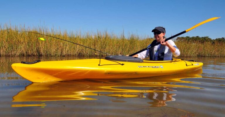 Wekiva River Kayak Full Day Trip Experience Highlights