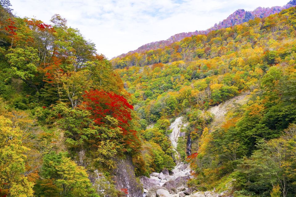 Welcome to Nagano: Private Tour With a Local - Tour Overview and Pricing