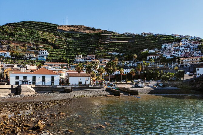 West Madeira Island Guided Tour & Fanal Mystic Forest Tour Overview