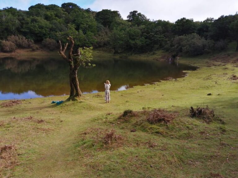 West Madeira:, Laurel Forest, Waterfall, Rock Pools, Walk Tour Overview