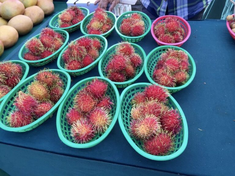 West Palm Beach: Mornings In The Market Food Tour Tour Overview