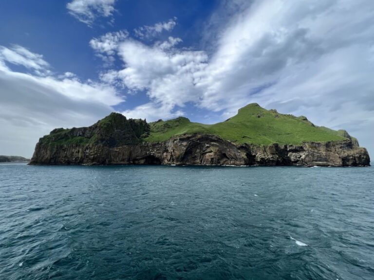 Westman Islands Private Tour Tour Overview