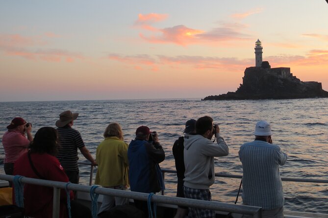 Whale & Dolphin Watching Tour Overview Of The Tour