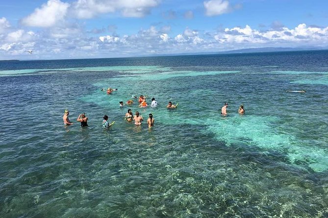 Whales Watching Half Day Experience Inclusions