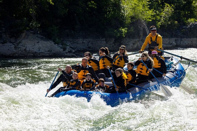 Whitewater Rafting In Jackson Hole : Family Standard Raft Overview And Experience