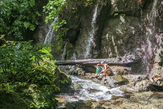 Wildlife Hike Middleham Falls - Hike Information