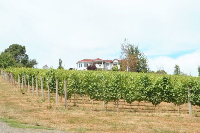 Willamette Valley Wine Tour (tasting Fees Included) Tour Overview