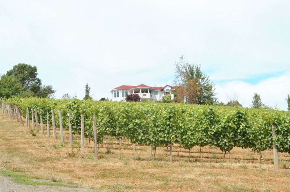 Willamette Valley Wine Tour (Tasting Fees Included) - Tour Overview