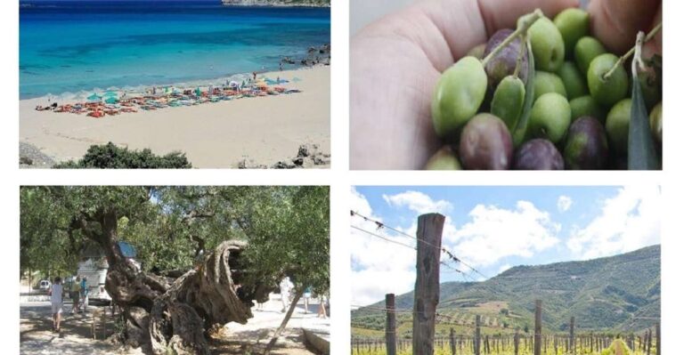 Wine And Olive, Falasarna Beach Day Tour Tour Overview