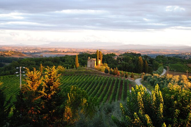 Wine Tasting At The Winery In The Panoramic Terrance Starter Course: Bruschetta