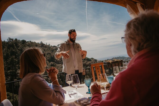 Wine Tasting In The Costa Brava Exploring Spains Wine Regions